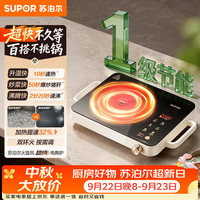 苏泊尔 双环独立控温 电陶炉