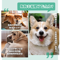 皇家 成犬减肥处方粮 狗狗干粮