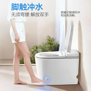 法恩莎 FVLN0306-GM 轻智能马桶 座圈加热 脚触冲水