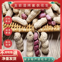 龙花 2025年龙岩特产紫衣湿烤花生咸香味水煮紫衣五香咸干酥脆下酒零食