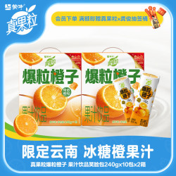 真果粒 橙子果汁240g×10包*2箱