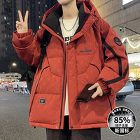 青少年冬季连帽羽绒服男港风潮流百搭学生防寒保暖加厚白鸭绒外套