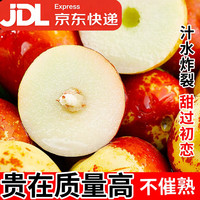 正宗沾化露天冬枣新鲜脆甜当季应季头茬孕妇水果产地直发酥脆鲜甜