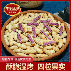 优惠龙岩特产湿烤红衣花生咸香味酥脆下酒美味零食