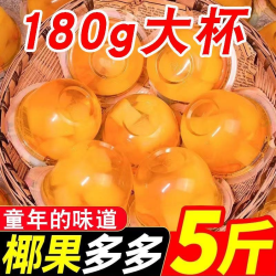 什锦果冻180g儿童果味小吃大杯椰果果肉大果冻零食