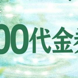 100元代金券|限2张