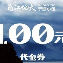 100元代金券|限2张