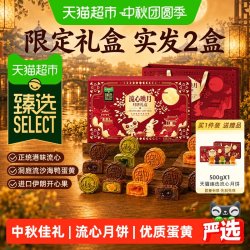 天猫超市 猫超臻选流心映月月饼礼盒传统中式糕点心港式流心零食中秋送人礼500克