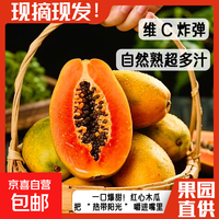 京喜加 红心牛奶木瓜现摘新鲜水果冰糖心当季树上自然熟高端品质 净重5斤 木瓜400g+