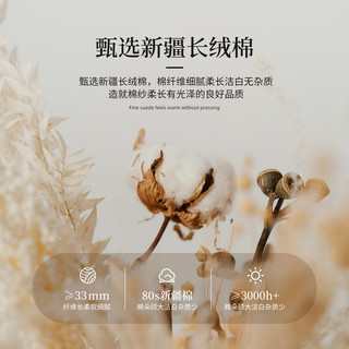 素时代 A类60支全棉色织提花四件套 蝶舞杏 1.5m床单款
