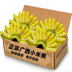 果迎鲜 正宗广西小米蕉 香蕉整箱5斤装