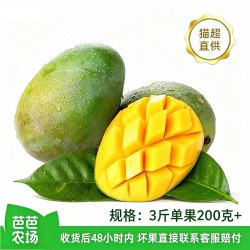 果茹鲜 芒果3斤装单个200g+