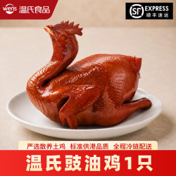 温氏 广式豉油鸡散养土鸡广东酱油鸡加热即食鸡熟食广东特产正宗