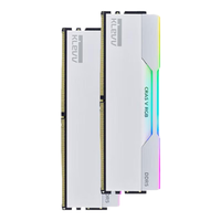 科赋 炎龙V DDR5内存条 海力士A-die 32GB(16G*2) 6000MHz C28 RGB白