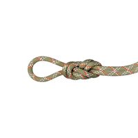 Mammut 猛犸象 9.5 健身经典绳子 40 米