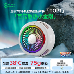 黑鲨 磁吸半导体散热背夹 黑色
