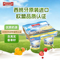 PASCUAL 香草味全脂酸奶120g*4杯 希腊风味酸奶沙拉 西班牙原装进口酸牛奶