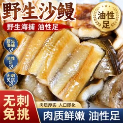 玖舢鲜 舟山沙鳗鲞沙鳗干无刺鳗鱼干整条油鳗七星鳗鱼海鲜
