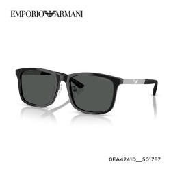 EMPORIO ARMANI 男款太阳镜方形防晒墨镜0EA4241D
