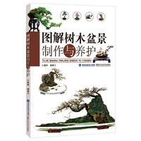 图解树木盆景制作与养护 盆景入门教程书 盆景制作技巧参考书 树木盆景造型艺术书 盆景养护管理书籍