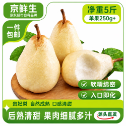 京鲜生 贵妃梨 净重5斤 单果250g+ 新鲜水果 源头直发
