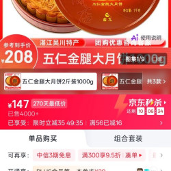金九月饼 湛江吴川特产金九五仁金腿月饼 中秋月饼礼盒团购礼品 五仁金腿大月饼2斤装1000g