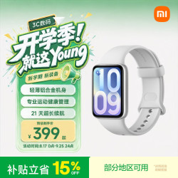 小米 10 Pro 标准版 智能手环 灰色 TPU