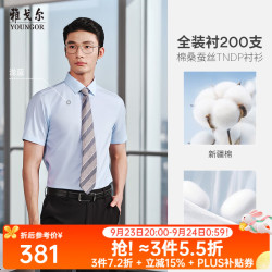 雅戈尔 VSTP114807IBY DP免烫 浅蓝素色 41(175/96Y) 短袖衬衫