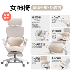 网易严选 探索家系列 人体工学椅 LADY款