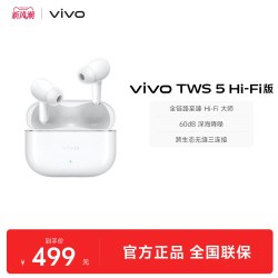 vivo TWS 5 Hi-Fi版 入耳式真无线蓝牙耳机 简单白