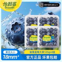 百亿补贴：Driscoll's 秘鲁蓝莓125g*4盒 果径18mm+