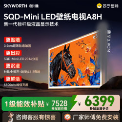 创维 电视机 65A8H