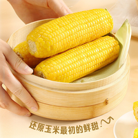 一支鲜 买立返2元！东北黄糯甜玉米10支（2200g）