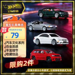 Hot Wheels 生日礼物男孩赛车玩具-风火轮汽车文化系列FPY86