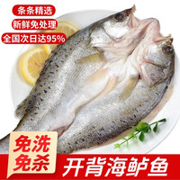 添渔港 三去开背海鲈鱼 3 条