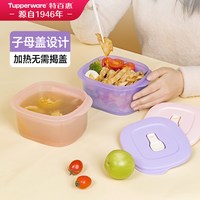 88VIP：特百惠 保鲜上班族可微波便携密封饭盒野餐外带餐盒500ml