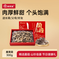 鲜珥家 羊肚菌干货古田高山种植净重发货煲汤材料特产无熏硫菌汤包虫草花 鹿茸菇300g