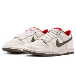 NIKE 女子高中生休闲鞋DUNK LOW (GS)运动鞋IQ9793-020灰鞋37.5