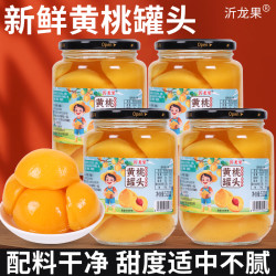 沂龙果 沂蒙黄桃罐头510g*2瓶鲜甜爽休闲水果零食开盖罐装-S