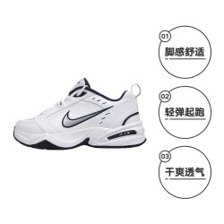 NIKE 男跑步鞋运动老爹鞋休闲运动鞋415445-102