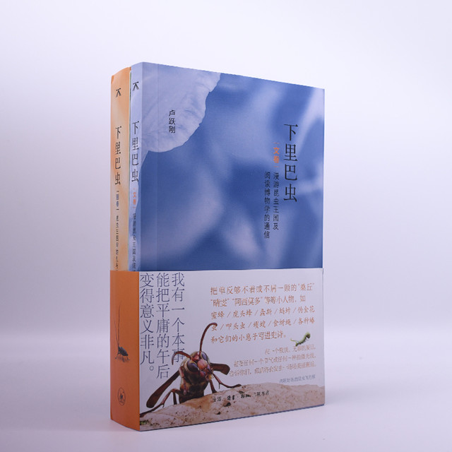 下里巴虫（图卷、文卷）