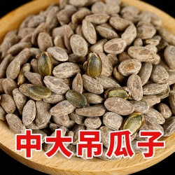 新货休闲500G正宗独立包装奶油味原味香脆长兴大颗粒瓜子