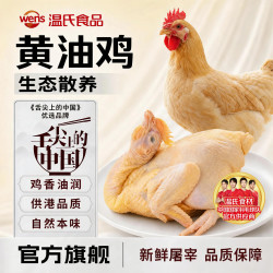 温氏 供港黄油鸡   800g-900g*1只