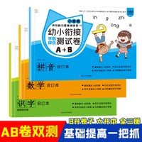 幼小衔接学前综合测试A+B每日一练拼音识字数学思维练习入学准备