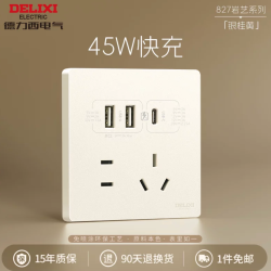 德力西 岩艺 45W type-C快充插座