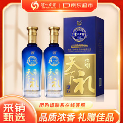 泸州老窖 天下礼6 浓香型白酒 52度 500ml*2瓶 礼盒装