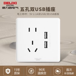 德力西 五孔双USB插座