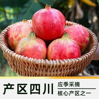 自然搭档 四川会理软籽石榴