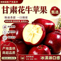 甘肃花牛苹果净果 4.5 斤 60-70m