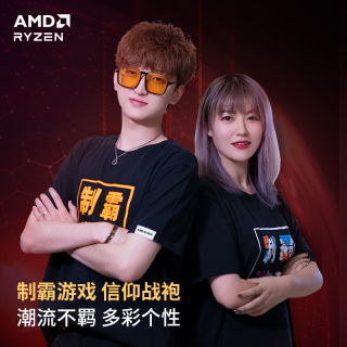 AMD RYZEN 制霸游戏T恤 男女同款 L 橘色文字